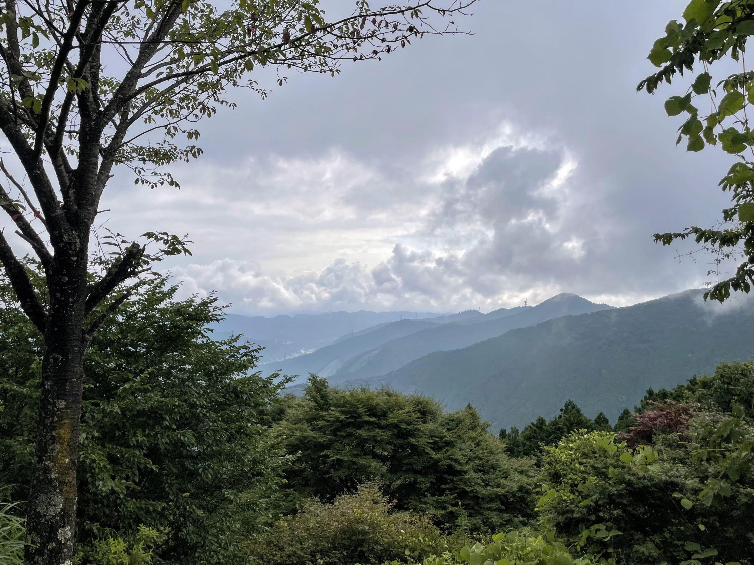 御岳山の曇った写真