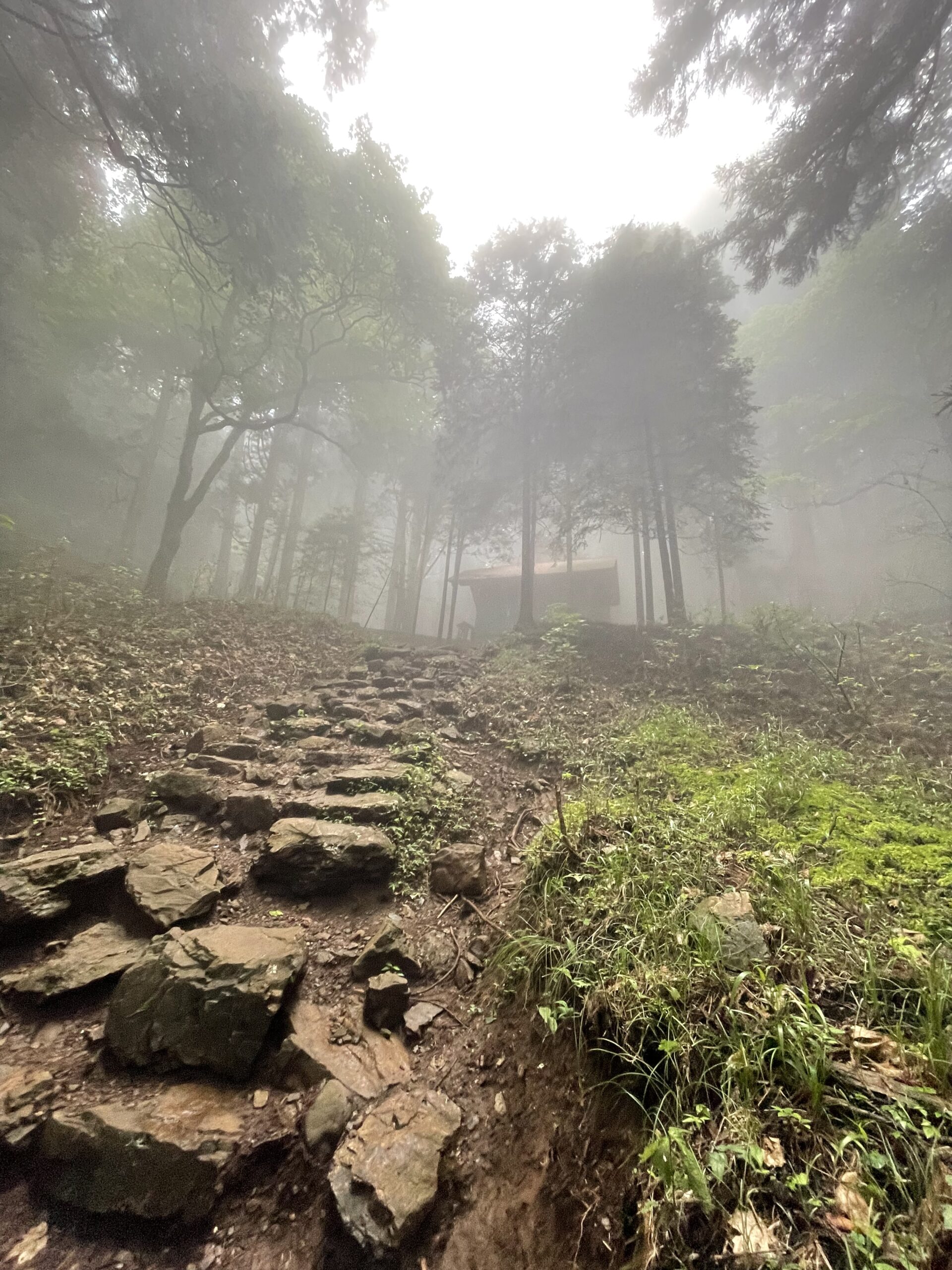 ガスが酷い登山道
