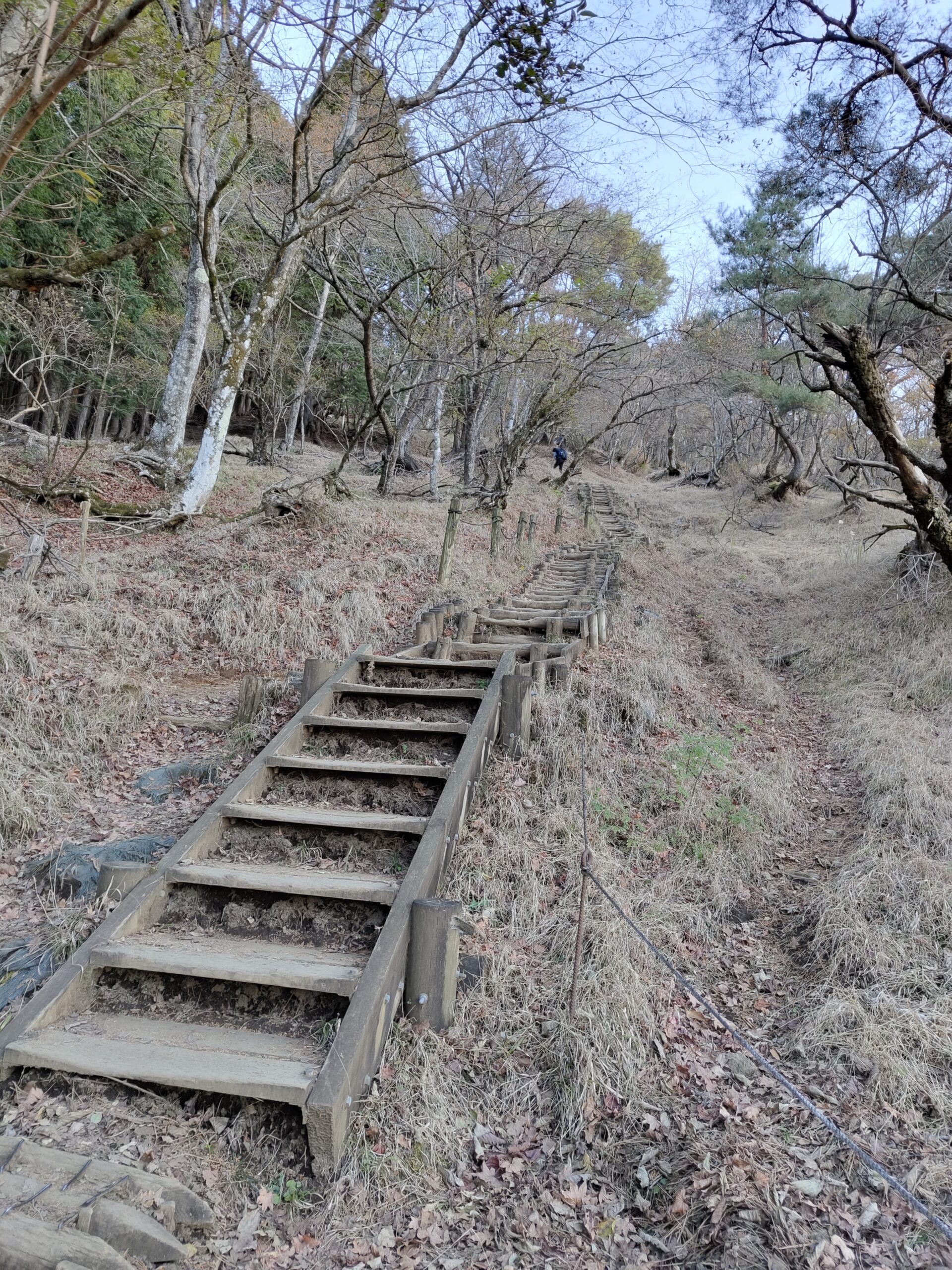 整備された登山道
