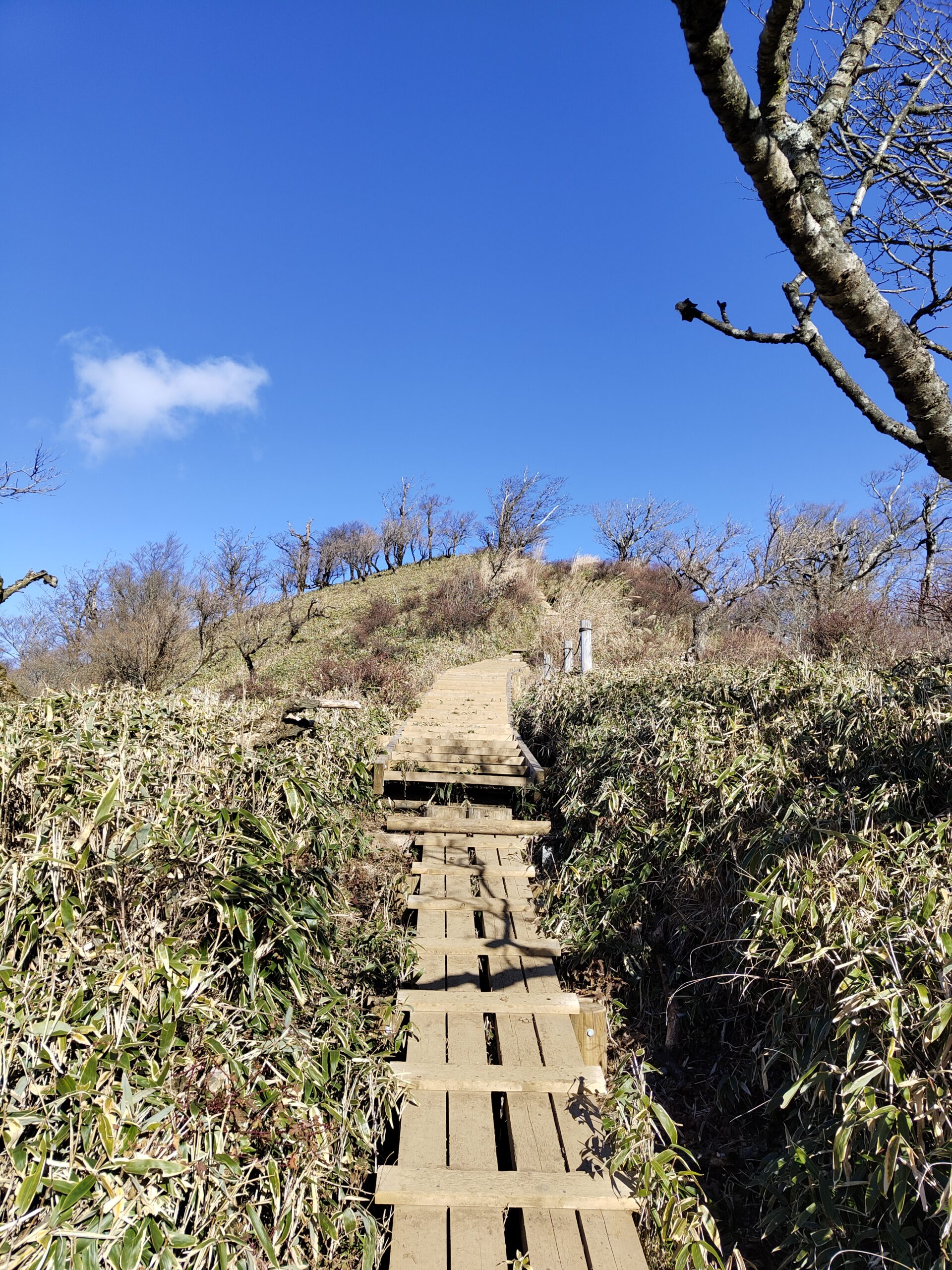 尾根にある登山道