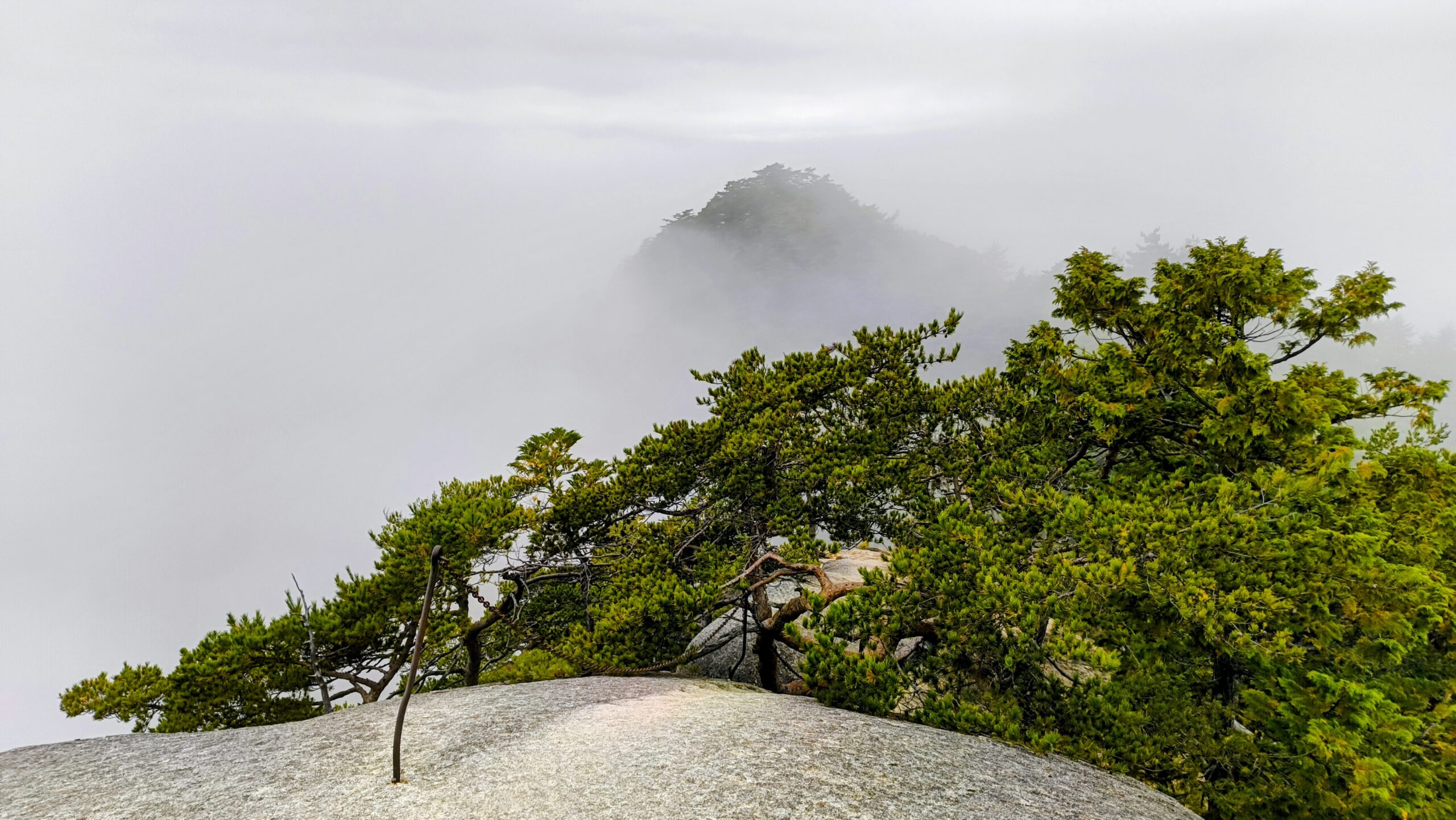 羅漢山から望む山頂